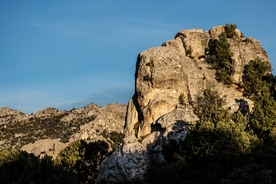 风景