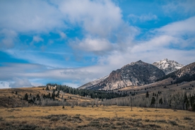 风景