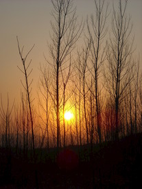 黄昏夕阳