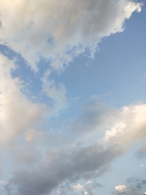 风景