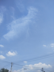 风景
