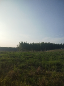 风景