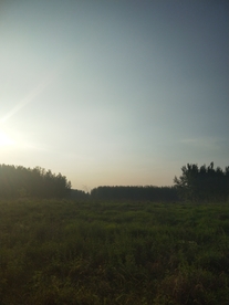 风景