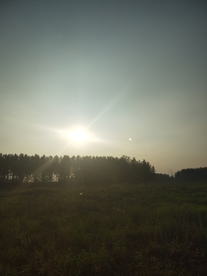 风景