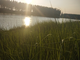 风景