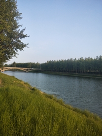 风景