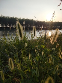 风景