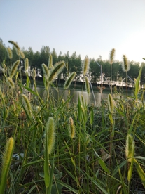 风景