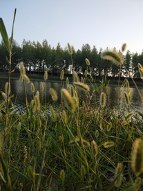风景