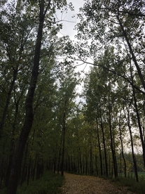 风景