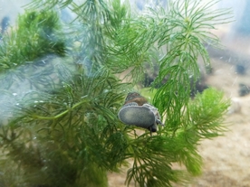 风景
