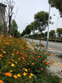 风景