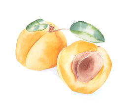 美食