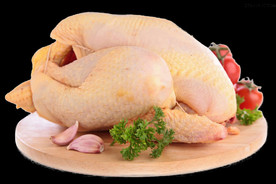 鸡肉