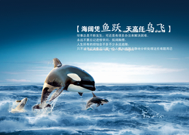 公司文化