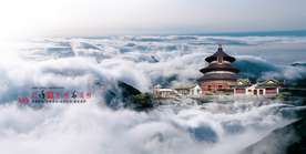 公司文化