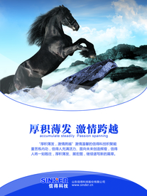 公司文化