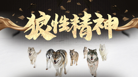 公司文化