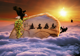 公司文化