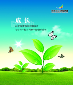 公司文化