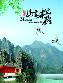 公司文化