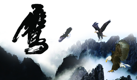 公司文化
