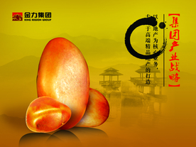 公司文化