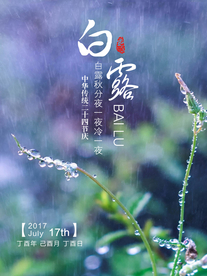 白露海报 白露素材 白露节气
