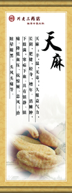 传统文化