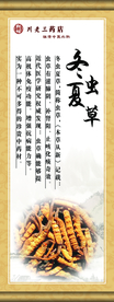传统文化