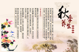 传统文化