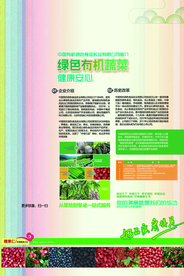有机蔬菜