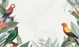 手绘鹦鹉叶子背景