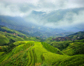 龙脊梯田