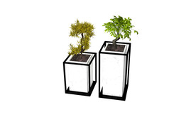 植物3d模型