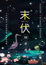 末伏秋老虎大气海报