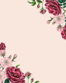 清新花卉植物背景