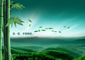 靓丽风景