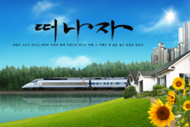 靓丽风景