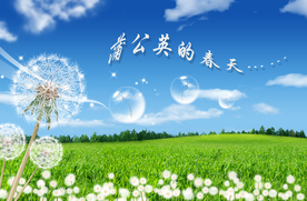 靓丽风景