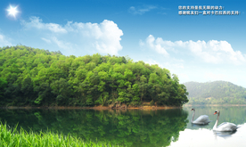靓丽风景