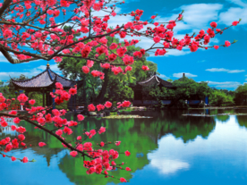 靓丽风景