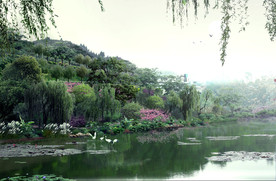 靓丽风景