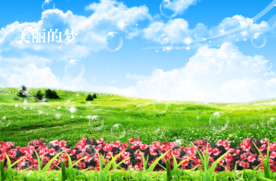 靓丽风景