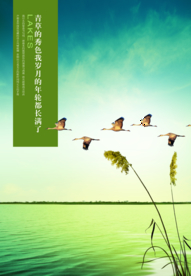 靓丽风景