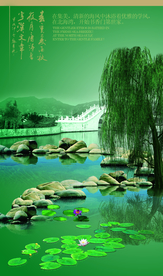 靓丽风景