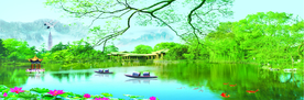 靓丽风景