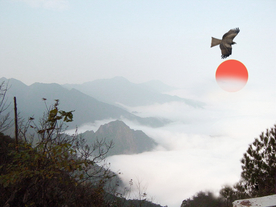 靓丽风景