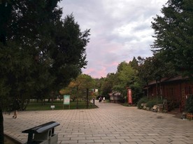 公园 天空
