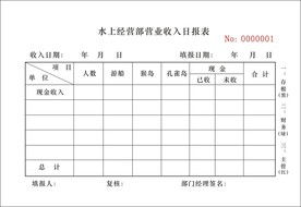 收入日报表